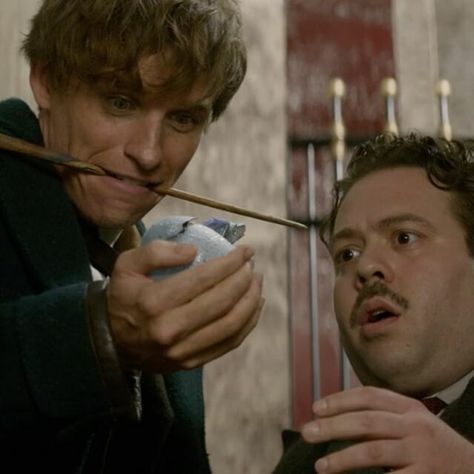 I love how he just casually sticks his wand in his mouth like anyone else would with a pen or something. Newt Scamander Wand In Mouth, Alastor Moody, Fantasic Beasts, Fantastic Beasts Movie, Ravenclaw Pride, Gellert Grindelwald, Fantastic Beast, Yer A Wizard Harry, Newt Scamander