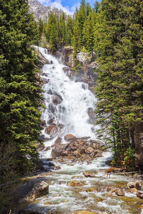 Hidden Falls at Jenny Lake Jenny Lake, Autumn Lake, Lake Boat, Whitewater Rafting, Scenic Drive, Rafting, Best Hotels, The Great Outdoors, Outdoor Activities