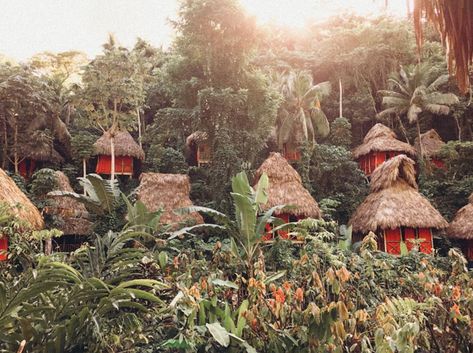 Tree House Village, Lunch On The Beach, Dominican Republic Travel, Jungle Life, House Village, Places To Explore, Beautiful Travel Destinations, Samana, Destination Voyage