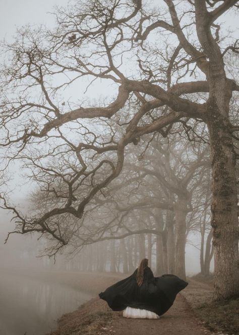 Gothic Cottagecore Aesthetic, Dark Fairytale Aesthetic, Dark Fairytale, Dreamy Photography, Autumn Magic, Dark Cottagecore, Season Of The Witch, Fantasy Novel, Halloween Photos