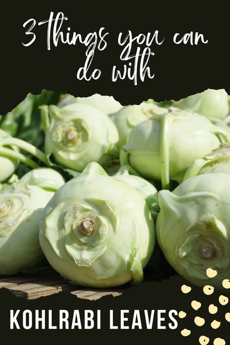 This post tells all about how you can use kohlrabi leaves in addition to the roots in order to reduce your waste. Kohlrabi Recipes Healthy, Kohlrabi Recipes, Fitness Recipes, Healthy Happy Life, Vegan Living, Network Solutions, Root Vegetables, Food Trends, Greens Recipe