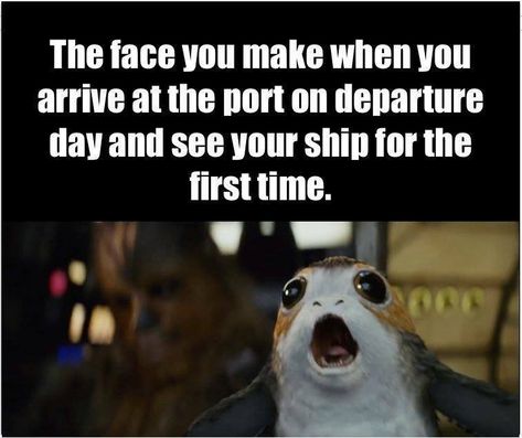 Cruise Humor, Cruise Memes, Carnival Vista Cruise, Joseph Wright, European Cruise, Carnival Vista, Travel Wisdom, Funny Advice, European Cruises