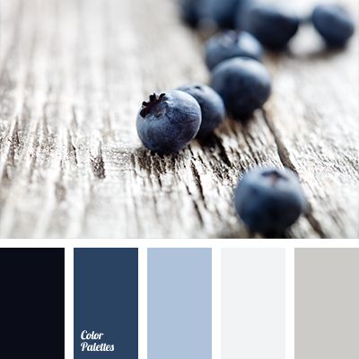 Blueberry shades of blue are well-suited for bathroom decoration. This dark blue will look good on a light gray background, and for accents use lighter sha. Eames Design, Design Seeds, Color Balance, Living Room Bathroom, Colour Board, Room Bathroom, Bedroom Colors, Colour Schemes, Color Pallets