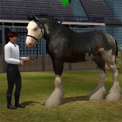 Clydesdale stallion by loveshobbits - The Exchange - Community - The Sims 3 Sims 4 Animals, Sims 3 Horse Cc, Sims Horses, Sims 3 Equestrian, Sims 3 Horses, Sims 3 Pets, Wild Drawing, The Sims 3 Pets, Sims3 Cc