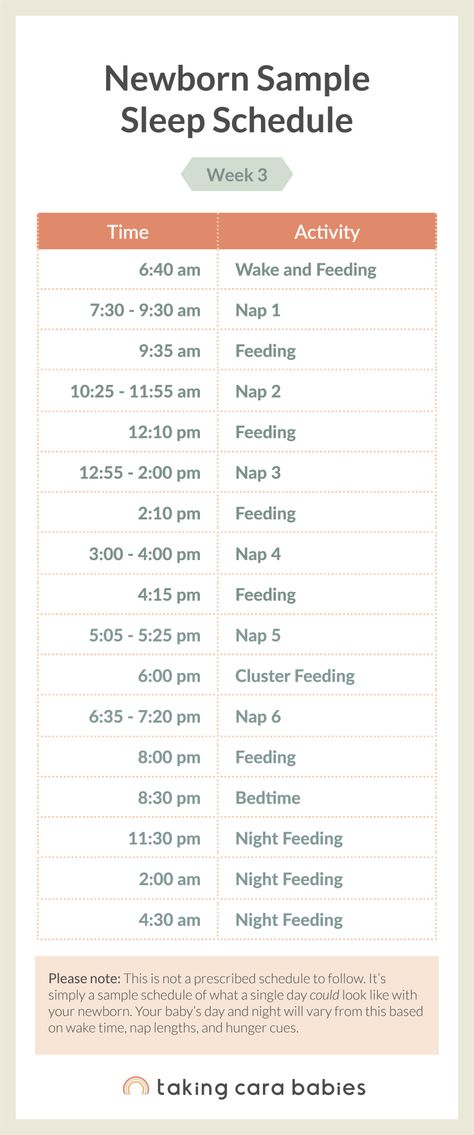 Baby Schedule Newborn, Taking Cara Babies, Moms On Call, Sleep Strategies, Dream Feed, Newborn Sleep Schedule, Newborn Schedule, Baby Routine, Newborn Needs