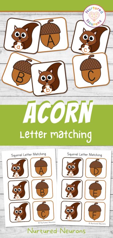 Squirrel and Acorn Letter Matching Game (Kindergarten Printable) - Nurtured Neurons Fall Animal Preschool Activities, Squirrels Preschool Theme, Woodland Animal Activities For Preschool, Kindergarten Classroom Essentials, Squirrel Preschool, Forest Animals Preschool, Game Kindergarten, Letter Matching Game, Cells Project