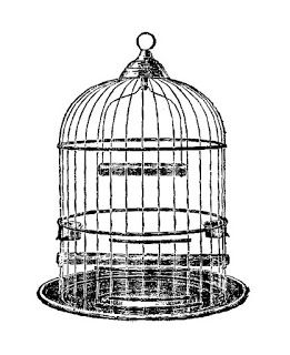 bird cage illustration - Antique Images Bird Cage Drawing, Cage Illustration, Bird Cage Drawing Sketches, Birdcage Drawing, Bird Cage Illustration, Birdcage Drawing Vintage, Bird Cage Coloring Page, Bird Cage Clip Art, Vintage Bird Cage Drawing