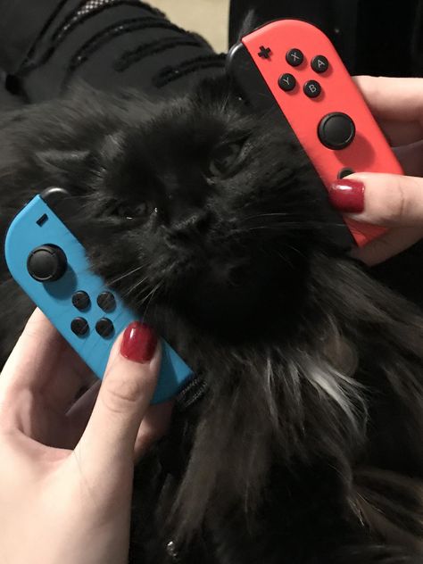 Our Nintendo Switch has a new attachment. Nintendo Switch Aesthetic Black, Game Astethic, Streaming Aesthetic, Gamer Core, Nintendo Pfp, Silly Kittens, Cat Video Game, Nintendo Switch Aesthetic, Boyfriend Clothes