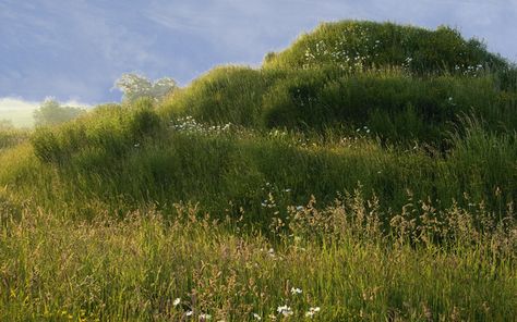 Country Life's gardening correspondent Alan Titchmarsh advises on how to create a mound in the garden. Landscaping Mounds Ideas, Garden Hill, Modern Washing Machines, Alan Titchmarsh, Grasses Landscaping, Top Soil, Grass Seed, Chelsea Flower, Chelsea Flower Show