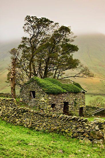 Grass Roof, Stone Barns, 강아지 그림, British Countryside, Spiritual Healer, Yorkshire Dales, 수채화 그림, England And Scotland, Old Stone