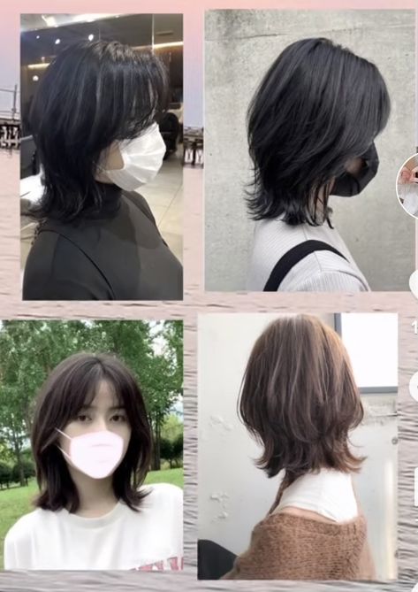 Mullet Shoulder Length, Mullet Wolf Cut Short, Short Layered Haircuts Korean, How To Style Short Hair With Bangs, Hush Cut Hair Short, Hush Cut Short, Short Wolfcut With Bangs, Cortes De Pelo Corto Mujer, Short Haircut With Bangs