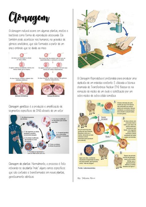 Resumo de alguns tipos de Clonagem (clonagem natural, clonagem genética, clonagem de plantas, clonagem reprodutiva) - Biologia Notebook Organization, Biotechnology, Study Motivation, Biology, Bullet Journal, Notebook