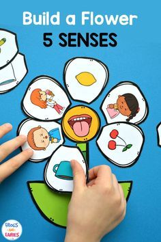 5 Senses Preschool, Body Parts Preschool Activities, Five Senses Preschool, Build A Flower, Education Printables, 5 Senses Activities, Senses Preschool, My Five Senses, Body Parts Preschool