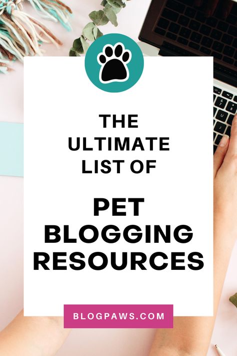 person typing on a laptop | the ultimate list of pet blogging resources Dog Blog Post Ideas, Dog Boutique Ideas, Pet Influencer, Blog Business Plan, Find Your Niche, Writing A Blog, Pet Projects, Business Setup, Dog Business