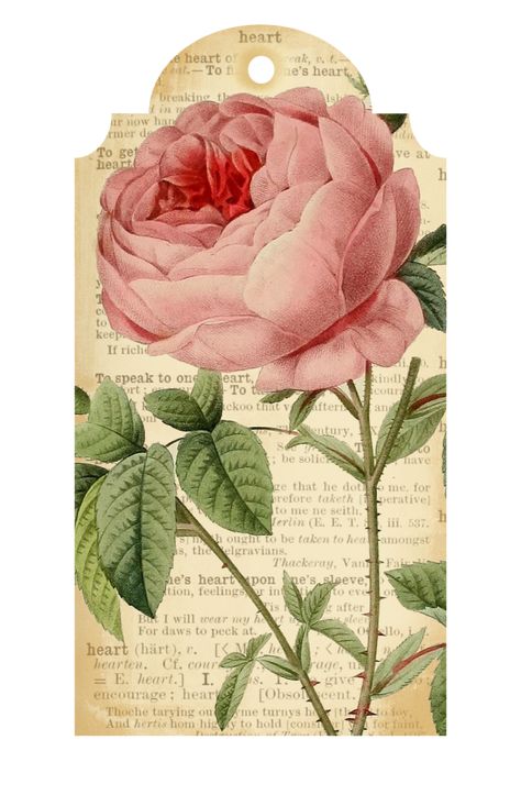 Free Printable Flower Tags for Valentine’s Day – Call Me Victorian Printable Flowers, Printable Flower Coloring Pages, Printable Flower, Etiquette Vintage, Free Vintage Printables, Vintage Png, Tags Printable, Card Sentiments, Decoupage Vintage