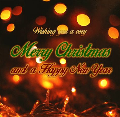 Merry Christmas Greetings GIF - Merry Christmas Greetings Light - Discover & Share GIFs New Year 2023 Gif, Angela Krislinzki, Christmas Animated Gif, Merry Christmas Wishes Images, Neha Bhasin, Merry Christmas Animation, Bollywood Wallpaper, Happy Christmas Day, Happy New Year Gif