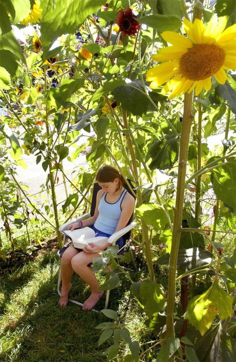 DIY Sunflower House for Kids via Oregon Live Backyard Crafts, Sunflower House, Rustic Backyard, Handmade Charlotte, Sunflower Garden, Children's Garden, Whimsical Garden, Backyard Garden Design, Perfect Garden