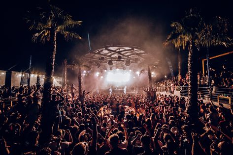 Sonus Festival, Festival 2022, Sun Shining, Under The Stars, The Energy, What You See, Our Love, The Sun, Vision Board