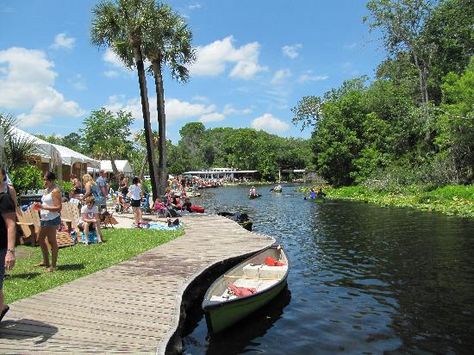 Photo of Wekiwa Springs State Park Orlando Springs, Florida Attractions, Orlando Parks, Rock Springs, Palm Bay, Bed 2, Sunshine State, Central Florida, Kissimmee