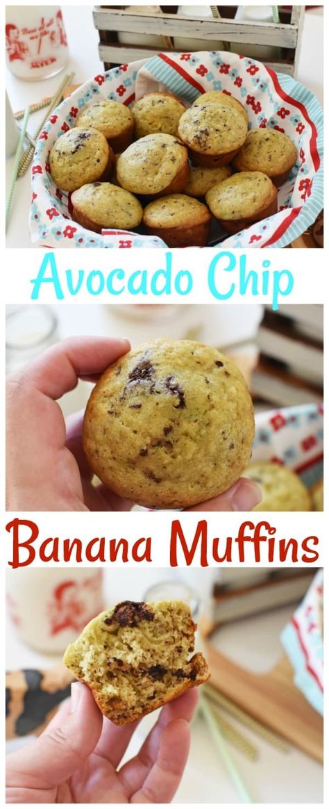 Avocado Chocolate Chip Banana Muffins - Sizzling Eats Avocado Banana Muffins, Italian Hot Chocolate, Chocolate Chip Banana Muffins, Avocado Chips, Avocado Chocolate, Avocado Banana, Chocolate Chip Banana, Filled Muffins, Banana Chocolate Chip Muffins