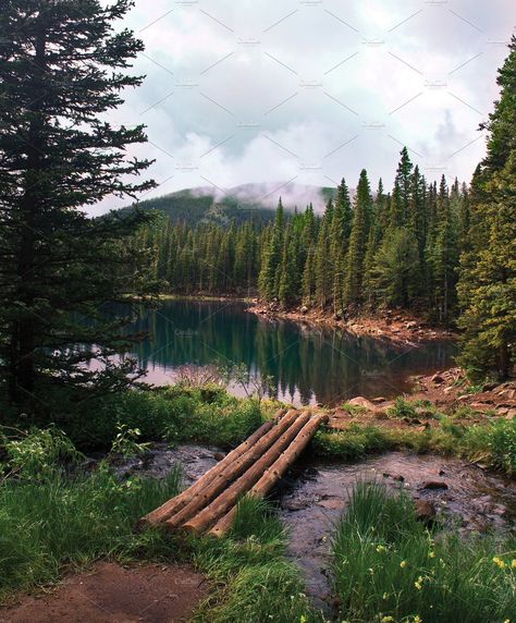 Mountain Lake in a Forest. Colorado Mountain landscape, serene lake surrounded by evergreen forest. #photography #mountain #travel #lake #adventure #landscape #reflection #wilderness Different Styles Of Wedding Dresses, Styles Of Wedding Dresses, Evergreen Colorado, Mountain Landscape Photography, Cabin In The Mountains, All The Bright Places, Evergreen Forest, Colorado Mountain, Forest Nature