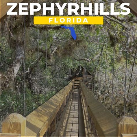 Zephyrhills, Florida Zephyrhills Florida, Fence Options, Security Fence, Top Pins, Commercial Property, Pinterest Board, Railroad Tracks, Ideas Style, Home Ideas