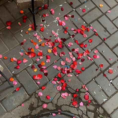 Aesthetic Petals Aesthetic, Flowers Petals, Red Icons:), Flower Therapy, Weird Dreams, Creative Instagram Photo Ideas, Landscape Drawings, Spring Is Coming, Brown Aesthetic