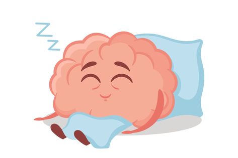 Brain cells behind pre-sleep behaviors found, giving hope to insomniacs Brain Sleep, Brain Neurons, Cognitive Psychology, Wearables Design, Brain Cells, Give Hope, Sleep Routine, Medical News, Before Sleep