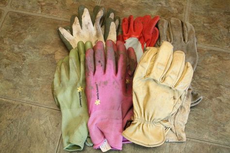 This is a guide about organizing gloves. Whether it's winter gloves, or gardening and work gloves; it''s easy to have a number of pairs around the house, especially if you have children. Keep those gloves organized and easily accessible. Winter Gloves, In Pairs, Work Gloves, Mitten Gloves, Clothes Pins, Leather Glove, The House, Gloves