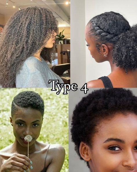 Comment your hair type below! ⬇️💬 - #curlyhair #hairtype #hairporosity #type3haircare #type4hair #naturalhair 4 Type Hairstyles, 4 Hair Type, 4 Type Hair, Hair Health Tips, Natural Haircare Products, Hair Journey Tips, Different Curls, Bible Humor, Quick Natural Hair Styles