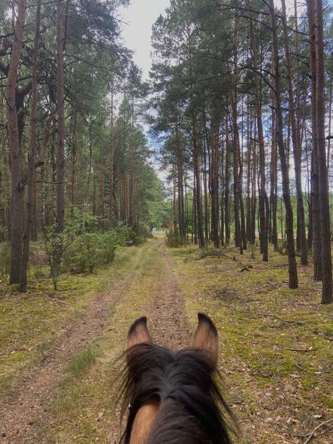 Vision Board Horse Riding, Horseback Riding English, Horse Vision Board, Bareback Horse Riding Aesthetic, Trail Ride Aesthetic, Trail Riding Aesthetic, Bareback Horse Riding, Horse Trail Ride, Heartland Aesthetic