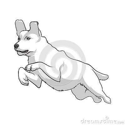 White Dog is jumping. Active dog. Stock Vector illustration. Hunting dog Dog Jumping Illustration, Dog Jumping Drawing, Hunting Dog, Dog Activities, White Dog, Dog Illustration, Dog Drawing, White Dogs, Hunting Dogs