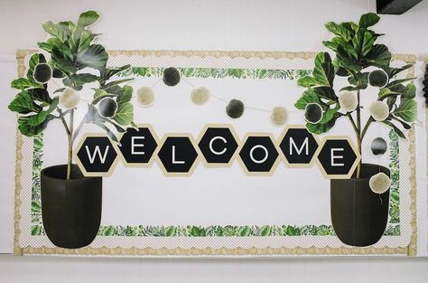 Botany Classroom Decor, Leafy Classroom Decor, Boho Farmhouse Office Ideas, Monstera Leaf Classroom Decor, Plants Classroom Decor, Nature Themed Bulletin Board, Simply Boho Classroom Decor, Eucalyptus Classroom Theme, Greenery Bulletin Board