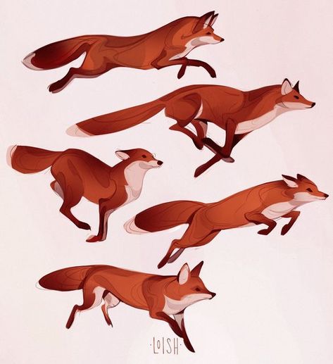 Fox Sketch, Animal Poses, Fox Character, Fox Drawing, Animal Doodles, Canine Art, 카드 디자인, Animal Designs, Art Things