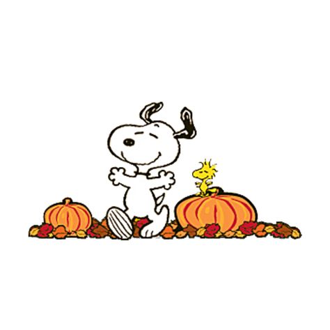 Snoopy In Pumpkin, Snoopy Pfp Halloween, Fall Widgets Pumpkins, Fall Snoopy Widgets, Snoopy Halloween Widget, Snoopy Fall Widget, Fall Snoopy Pfp, Snoopy And Woodstock Fall, Fall Phone Widget Aesthetic