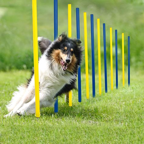 In this sport, dogs race through a straight line of up to 60 upright poles called “weave poles” in head-to-head competitions. https://www.farmersmarketonline.com/good-dog-sports/running-the-weave-poles Dog Obstacle Course, Dog Agility Training, Agility Training For Dogs, Dog Sports, Cattle Dogs, Dog Line, Agility Training, Dog Agility, Obstacle Course