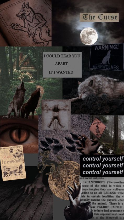 werewolf aesthetic #wolves #werewolf #earthy Paranormal Aesthetic, Teen Wolf Fan Art, Werewolf Stories, Wolf Decor, Werewolf Aesthetic, She Wolf, Magic Aesthetic, Season Of The Witch, A Level Art