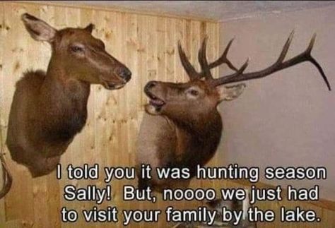 Deer Hunting Memes, Hunting Humor, Hunting Season, Memes Humor, Twisted Humor, Deer Hunting, Funny Animal Pictures, Really Funny Memes, Look At You