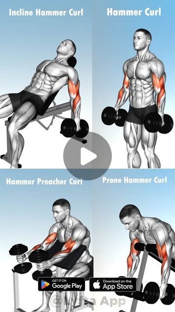 Lyfta Gym Workout Tracker on Instagram: "Best Hammer Curl Variations with Dumbbell 💪🔥" Workout Tracker, Hammer Curls, Fitness Tracker, Gym Workout, Gym Workouts, Gym, On Instagram, Instagram