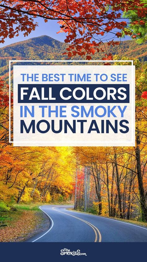 Great Smoky Mountains Fall, Smokie Mountains Tennessee, Fall In Tennessee, Fall Tennessee, Tennessee Fall, Fall Foliage Map, Fall Mountains, Tennessee Waterfalls, Southern Road Trips