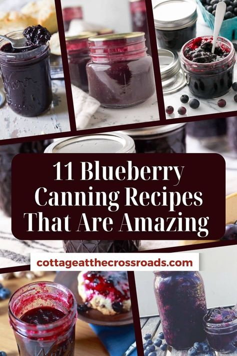 11 blueberry canning recipes that are amazing  pinterest image. Blueberry Salsa Recipe Canning, Blueberry Pie Filling Canning, Canning Blueberry Syrup, Canned Blueberry Jam, Blueberry Preservation, Blueberry Canning Ideas, Blueberry Syrup Recipe Canning, Blueberry Lemonade Concentrate Canning, Blueberry Jam Canning Recipes