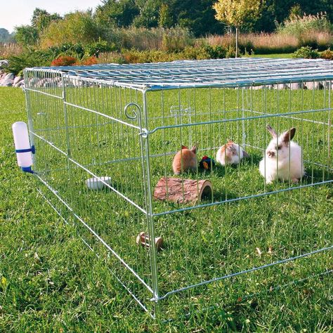 Trixie Pet Products Natura Grey Galvanized Metal Outdoor Rabbit Covered Run Bunny Run, Outdoor Rabbit, Outdoor Rabbit Hutch, Rabbit Enclosure, Best Egg Laying Chickens, Rabbit House, Tent Canopy, Rabbit Cages, Bunny Cages