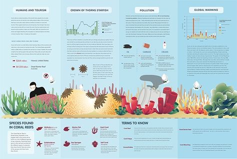 Info Graphic Poster, Infographic Layout, Coral Bleaching, Library Posters, Illustration Art Kids, Info Graphic, Invasive Species, Scientific Illustration, Marine Biology