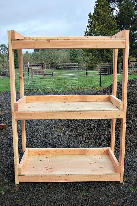 Homemade Seed Starting Rack Diy Indoor Plant Shelf With Grow Lights, Seed Starting Shelves, Diy Seed Starting Rack, Indoor Seed Starting Setup, Seed Starting Indoors, Grow Light Stand, Homemade Garden, Indoor Vegetables, Indoor Greenhouse