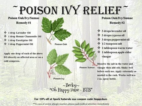 Poison Ivy Essential Oils, Poison Ivy Relief, Poison Ivy Remedies, Cypress Oil, Essential Oil Remedy, Oil Remedies, Essential Oils Health, Yl Essential Oils, Chamomile Oil