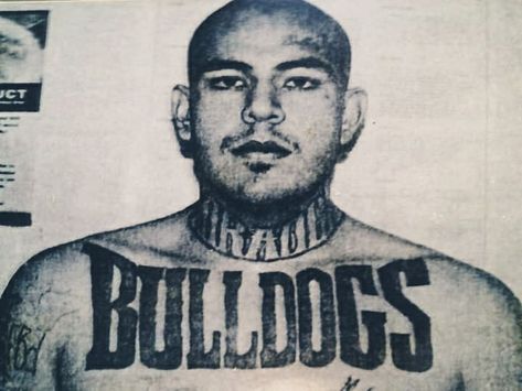 Fresno Bulldogs Gang, Fresno Bulldogs, Art Drawings Sketches, Drawing Sketches, Bulldog, Art Drawings, Male Sketch, Tattoos, Drawings