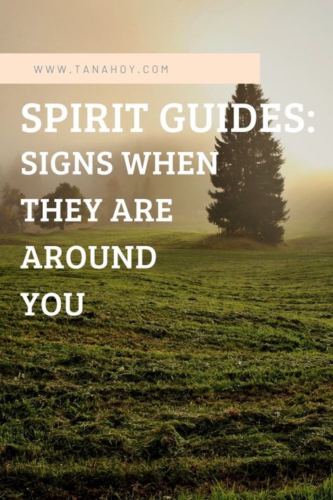 Steps Spirit Guide Signs, Flash Of Light, Spirit Signs, Different Signs, Pure Energy, Spiritual Health, Inspirational Quotes About Love, Psychic Reading, Spiritual Guidance