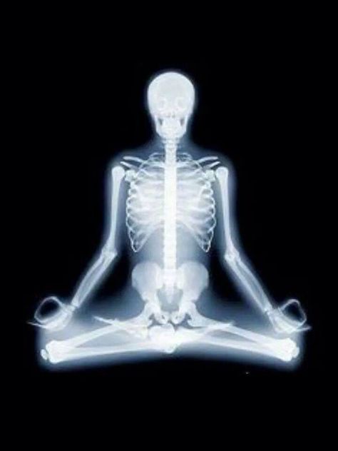 Skeleton Radiology Humor, Xray Art, Dental Jokes, Health Goth, Power Of Meditation, Yoga Positions, Retro Humor, Yoga Postures, Yoga Pose