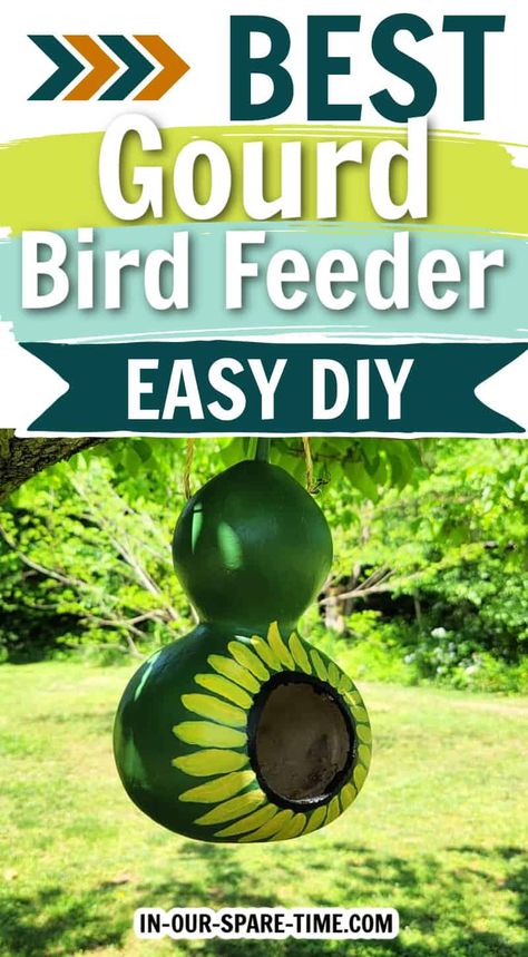 Gourd Birdhouse Ideas, Large Bird Houses, Feed The Birds, Black Oil Sunflower Seeds, Gourds Birdhouse, What Is A Bird, Kinds Of Birds, Flower Bird, Bird Seed