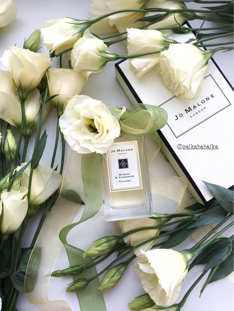 Jo Malone Mimosa & Cardamom cologne Jo Malone Mimosa And Cardamom Candle, Jo Malone Mimosa And Cardamom, Nikki Aesthetic, Jo Malone Collection, Flat Lay Photos, Work Images, Corner Decor, Beauty Shots, Jo Malone London